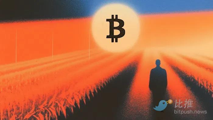 Bankless ：比特币能否在链上蓬勃发展？ image 0