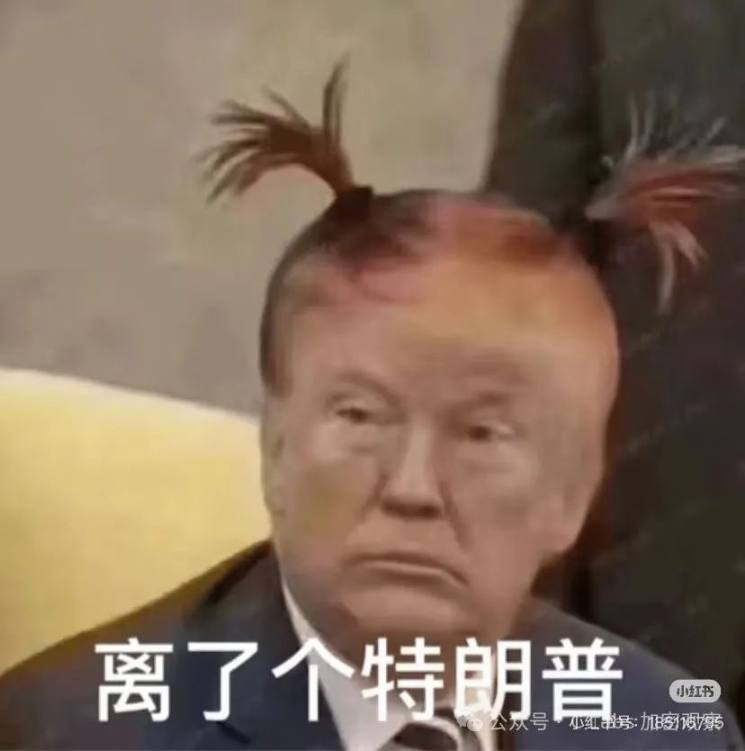 WLFI 不是什么特朗普严选，就是收广告费的 image 0