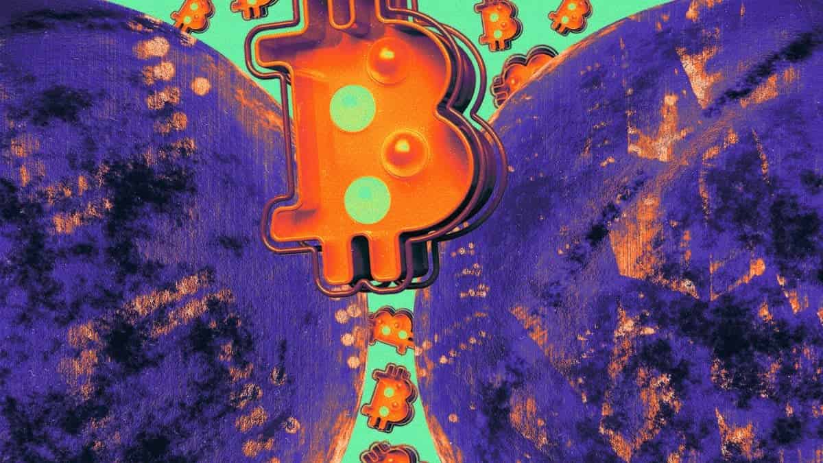 在连续7天资金流入后，美国比特币ETF的价值比以往任何时候都更高 image 0