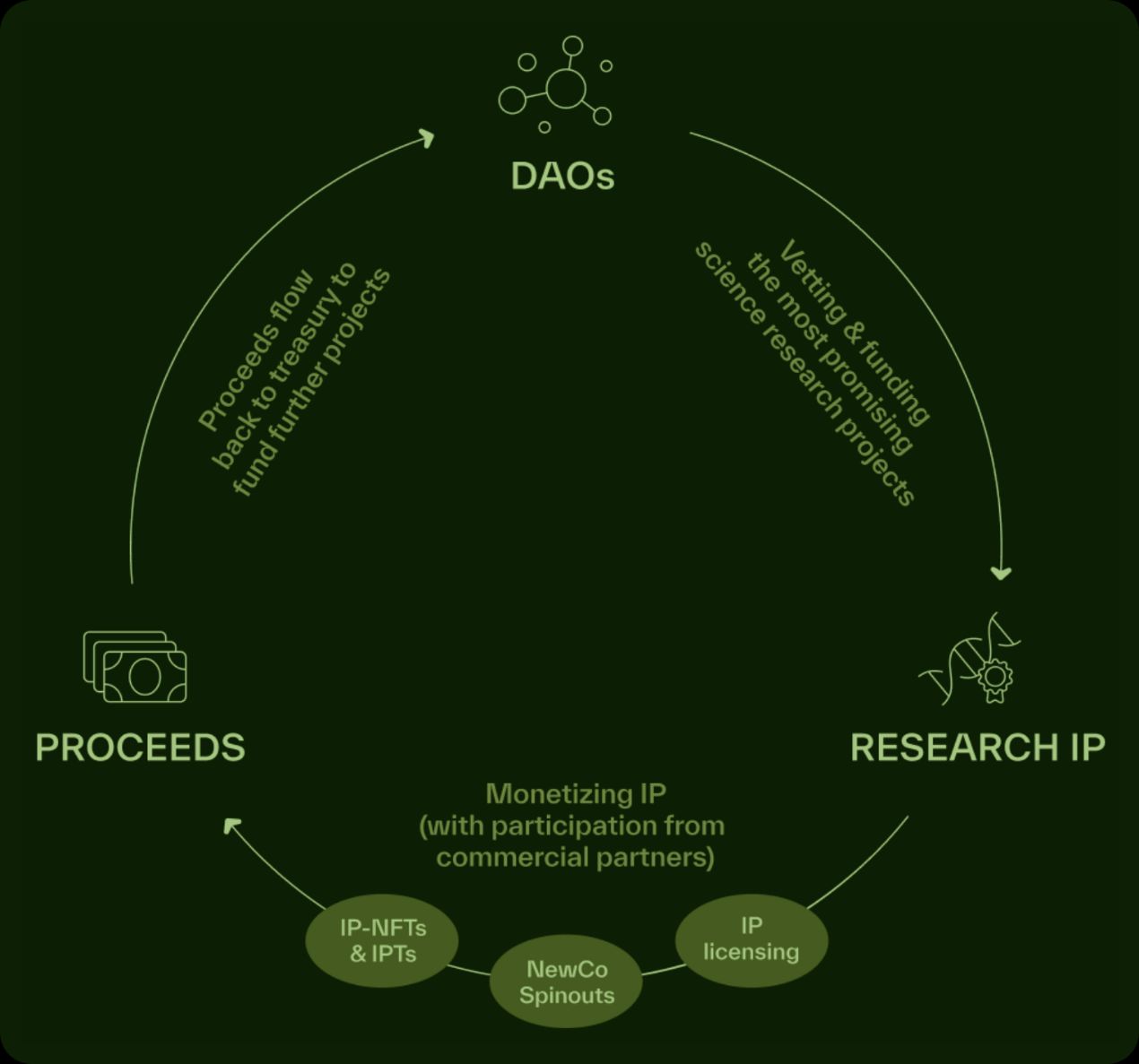 详解BIO Protocol及DeSci领域项目如何革新科研发展新范式 image 1