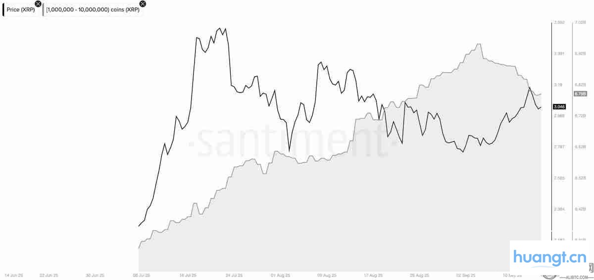 XRP供应分布