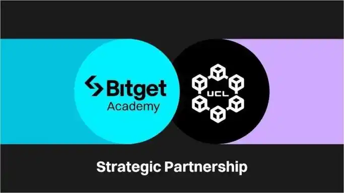 Bitget 合约交易盈亏计算方法详解：新手入门指南