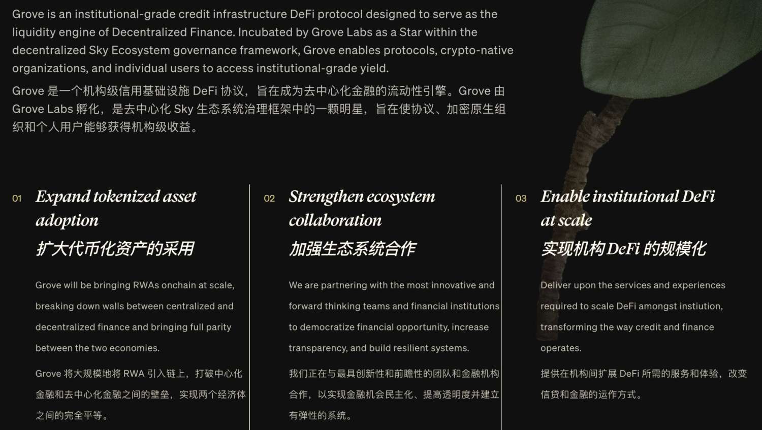 继 Spark 后，Sky 押注 Grove，RWA 新贵登场？ image 3