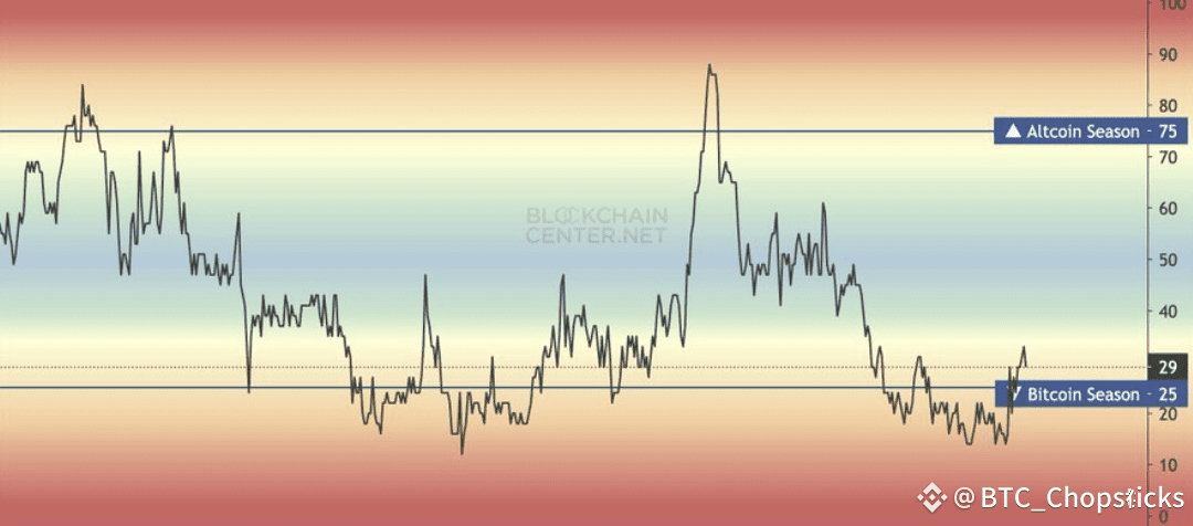 死猫反弹还是牛市起点？关键信号一文看懂 image 2