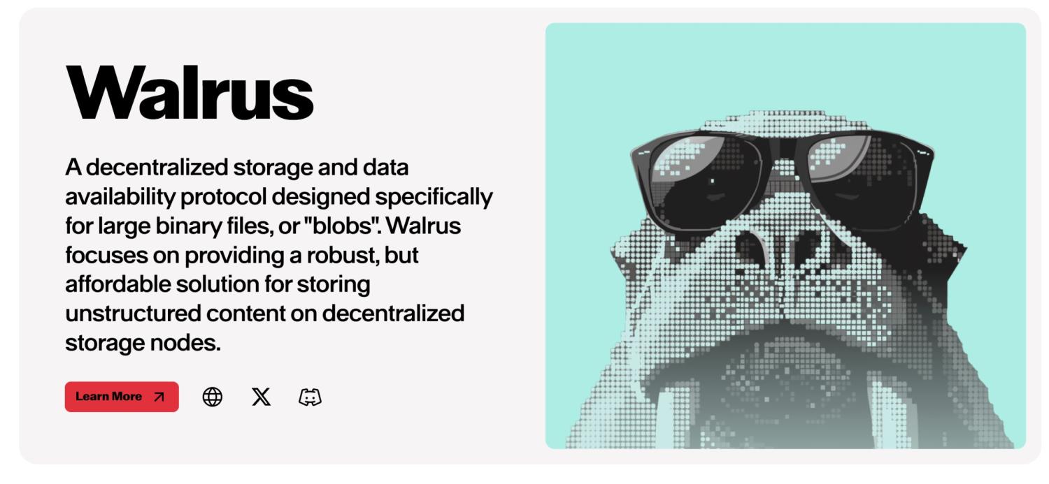 上线 2 周年,Sui 凭何成为本轮最强新公链? image 11