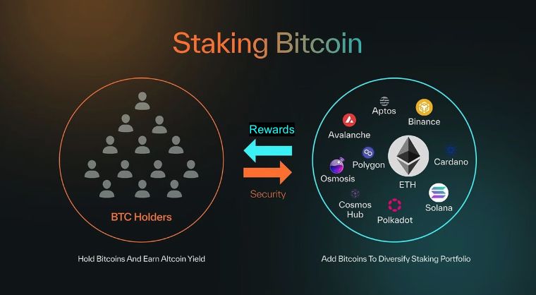 Babylon 2025 Q1 报告：BTC 质押稳步推进，生态初具规模 image 1