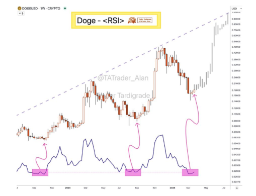 马斯克否认 DOGE 与美国政府的关系，狗狗币到底了吗？ image 1
