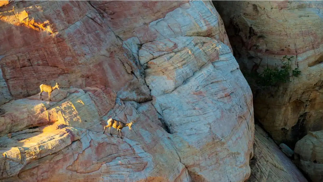 第10周链上数据：新的⽀撑位正在重新形成，机构开始试探性买⼊了？ image 25