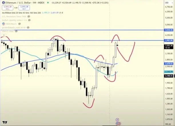 机器人策略实战：牛市回调阶段，10 大山寨币布局指南 image 1